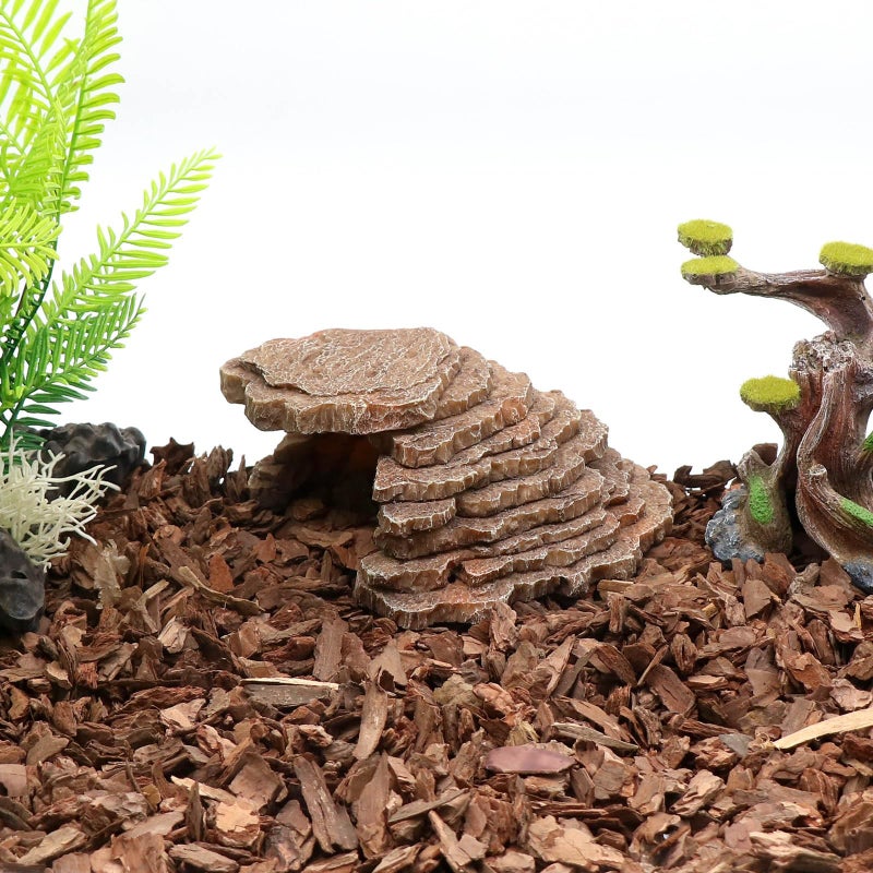 relaqcc Gecko Hide Shale Scape Step Ledge, Reptile Cave Hideout Tank Accessories Decorations, Great for Reptiles, Amphibians, Leopard Gecko, Lizard, Frogs, Turtle (Small-7.3 * 4.4 * 3) - Image 4
