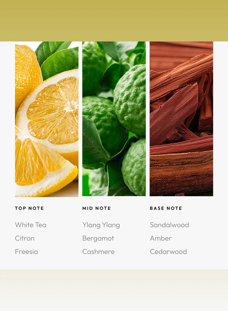 AROMA360 Little White Lies Fragrance Oil Blend - Hotel Inspired for Luxury Essential Oil Diffusers - Aromatherapy Scent Diffuser Oil - White Tea, Thyme, and Vetiver