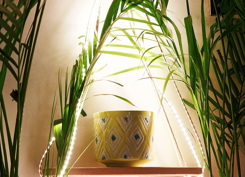 Leafy Tales Ceramic Rhombus Design Planter, Medium Size , Yellow, 1 Piece - Image 3