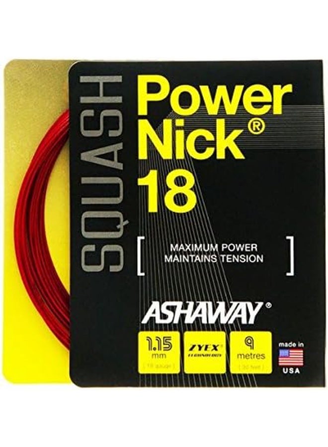 Ashaway POWERNICK 18 Squash String Set
