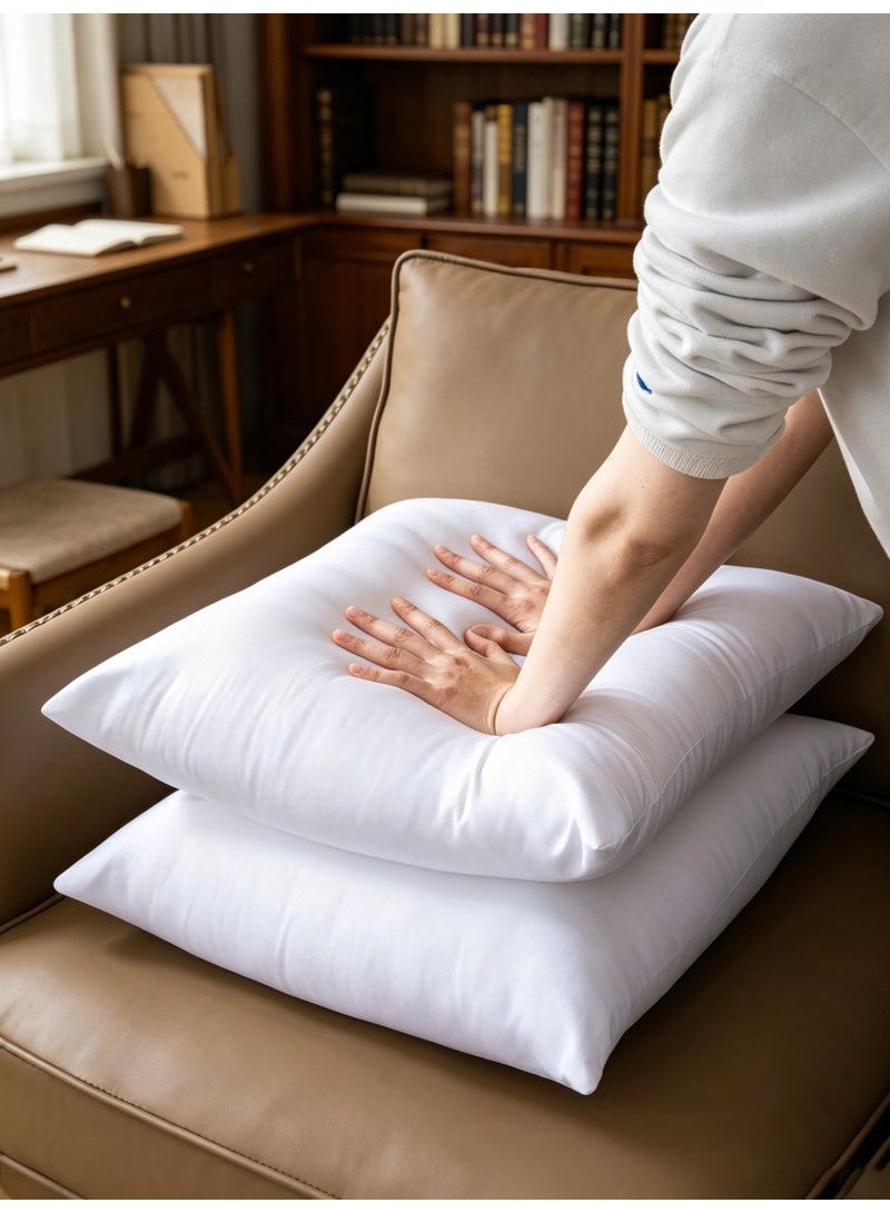 Cushion filling set of 2 pieces, 20 inches x 20 inches (50 cm x 50 cm), high-quality soft and fluffy 20 inch large sofa decorative white square bedding cushion filling, suitable for living room sofa bed cushion - Image 1