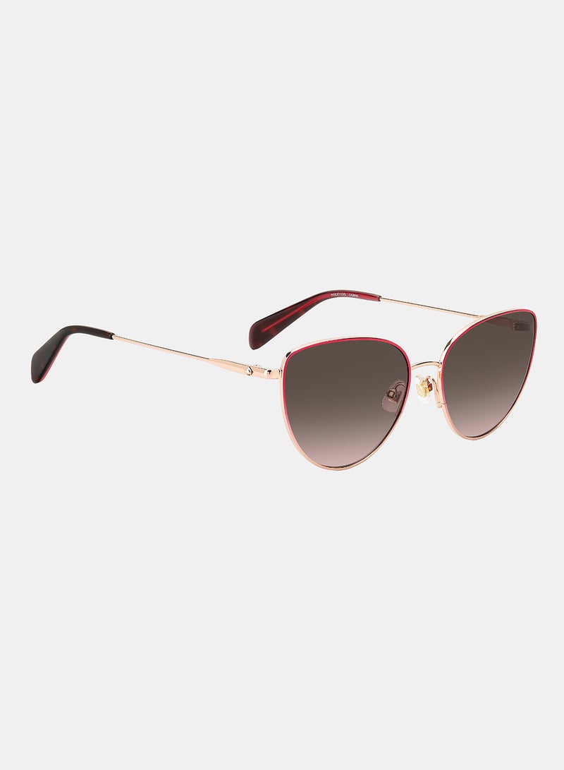 Kate Spade Women Cat Eye Sunglasses 55 HAILEY/G/S - Image 2