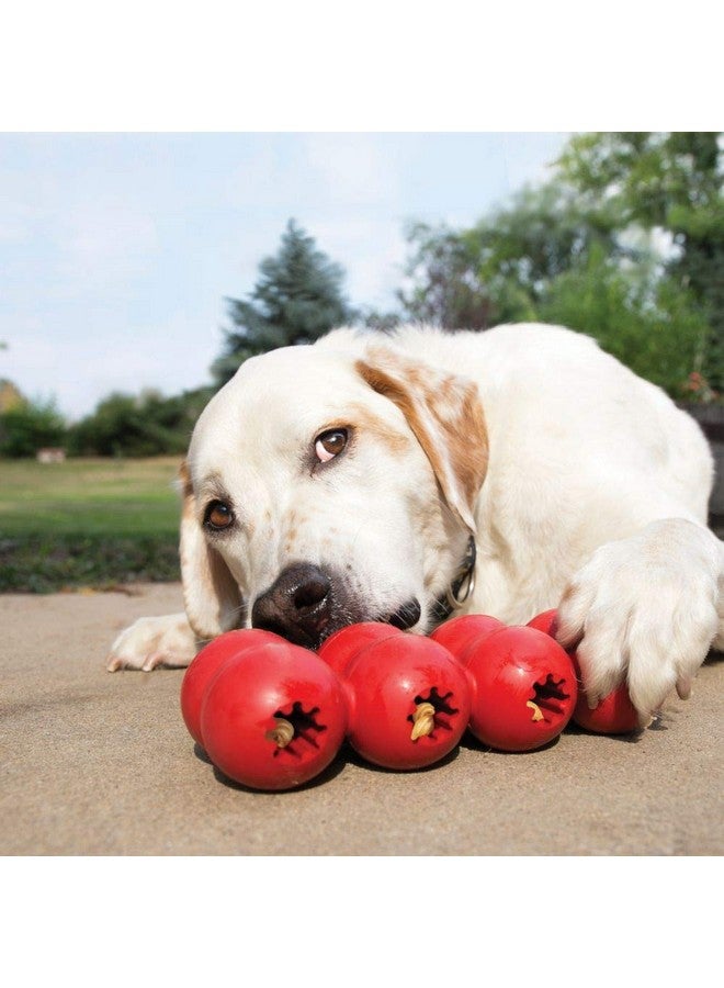 كونج شريط جودي - لعبة كلاب من المطاط الطبيعي قابلة للحشو - مع أربعة مقابض قابلة للحشو للعب الممتع - لعبة مضغ على شكل عظمة - للكلاب متوسطة الحجم - Image 2