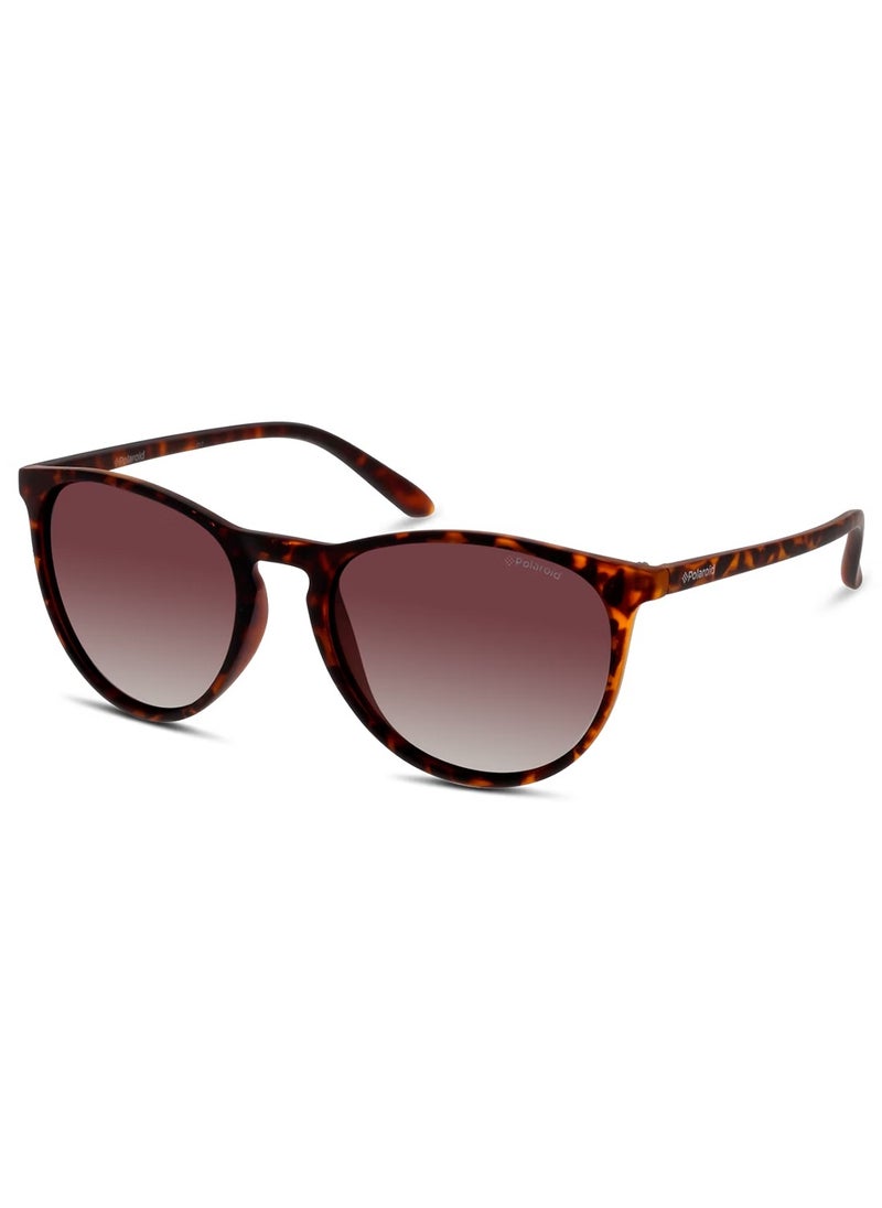 Polaroid POLAROID PANTHOS Sunglasses  - Image 1
