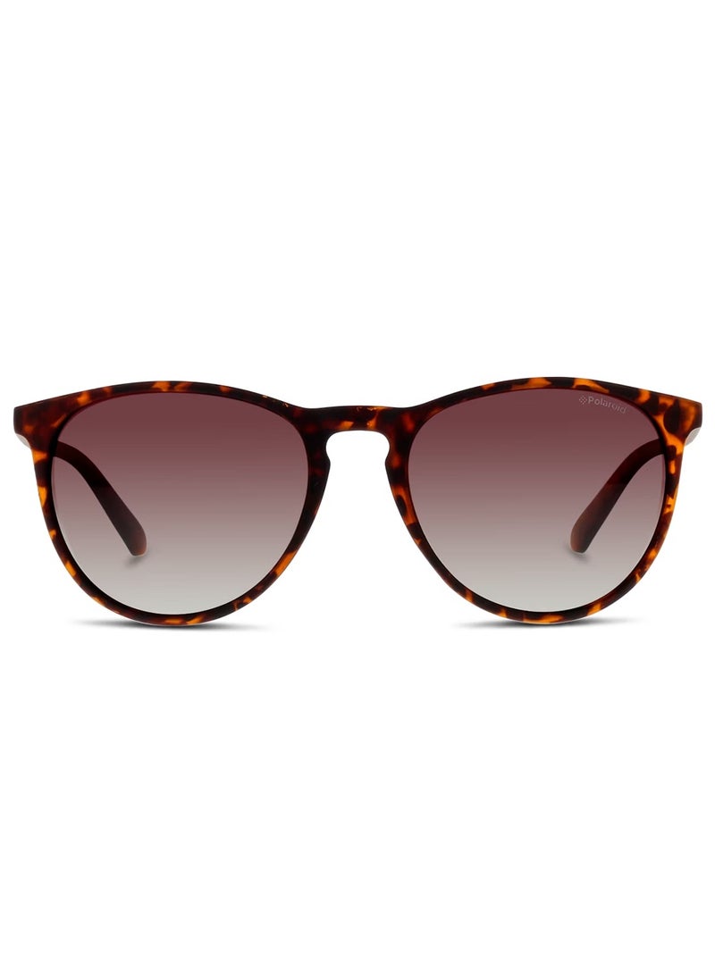 Polaroid POLAROID PANTHOS Sunglasses  - Image 2