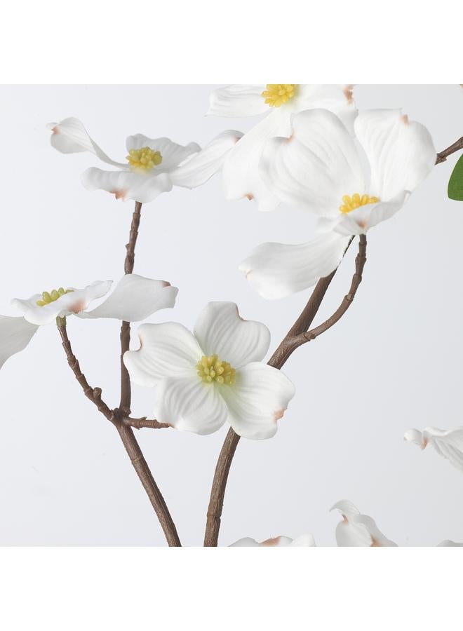 Zaboon Artificial spray, in/outdoor/Dogwood white, 100 cm - Image 4