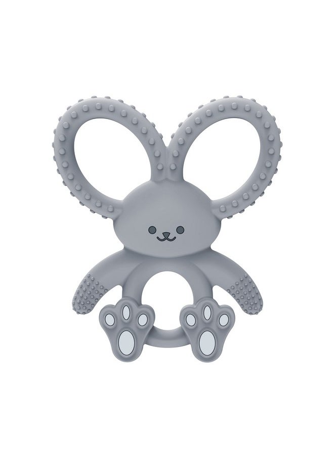 Dr. Brown's Flexees Gray Bunny, Soft 100% Silicone Baby Teether, Bpa Free, 3M+  - Image 1