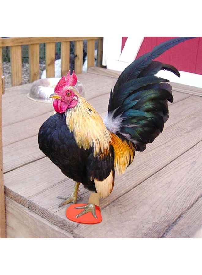vomvomp 2 Pack Duck Splint Chicken Prosthetic Leg for Poultry Broken Feet Curled Toes Goose Turkey Chicken Leg Splint - Image 4