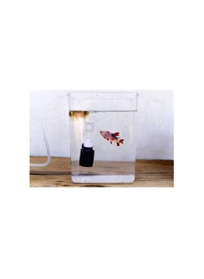 Betta fish munti filter 10pcs - Image 2
