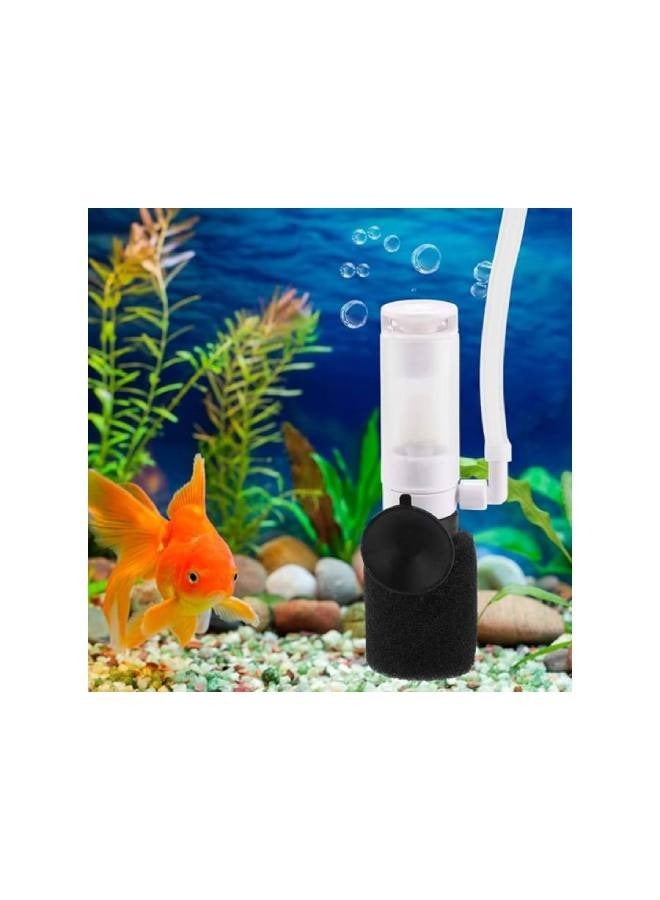 Betta fish munti filter 10pcs - Image 4