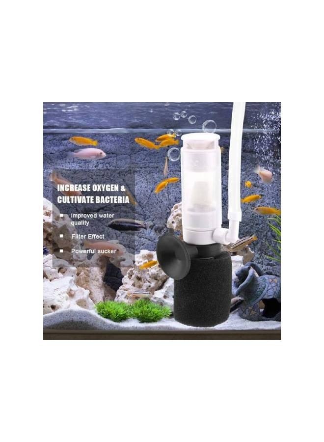 Betta fish munti filter 10pcs - Image 5