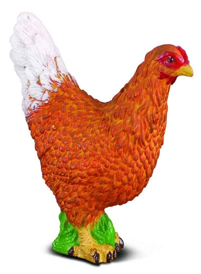 CollectA مجسم دجاجة مصغرة من كولكتا - نموذج مطلي يدويًا أصلي - Image 2