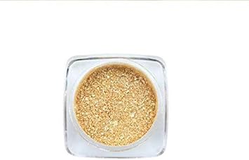 Phoera AQUAPURITY PHOERA Pigment Eyeshadow Palette Metallic Shimmer Glitter Loose Powder Eye Shadow Makeup UK 301 CARNELIAN - Image 1