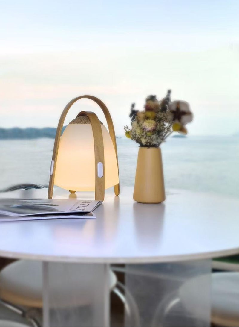 MOXOM Darsidy Portable Sound Lamp, Table Night Lamp with RGB, Multifunctional Bluetooth Speaker with 10 Changeable Colors for home, party and outdoor Camping - Image 1