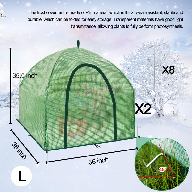 CHPPEY 36â€³*36â€³*35.5â€³ Mini Greenhouse Winter Plant Warm Covers - Raised Bed Cover for Seed Starting, Warm Tent Freeze Protection Humidity Domes for Gardening & Winter Shelter and Protecting Plants 2pcs - Image 3