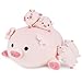 Achwishap 5PCS Pig FamilyPig Stuffed Animal Mommy with 4 Pig Babies PlushCute Pig Plush Pillow Cushion DollKawaii Pig Plush Toy Hugging Pillow for Kids Adults Birthday Gifts16 Pig Family - Image 4
