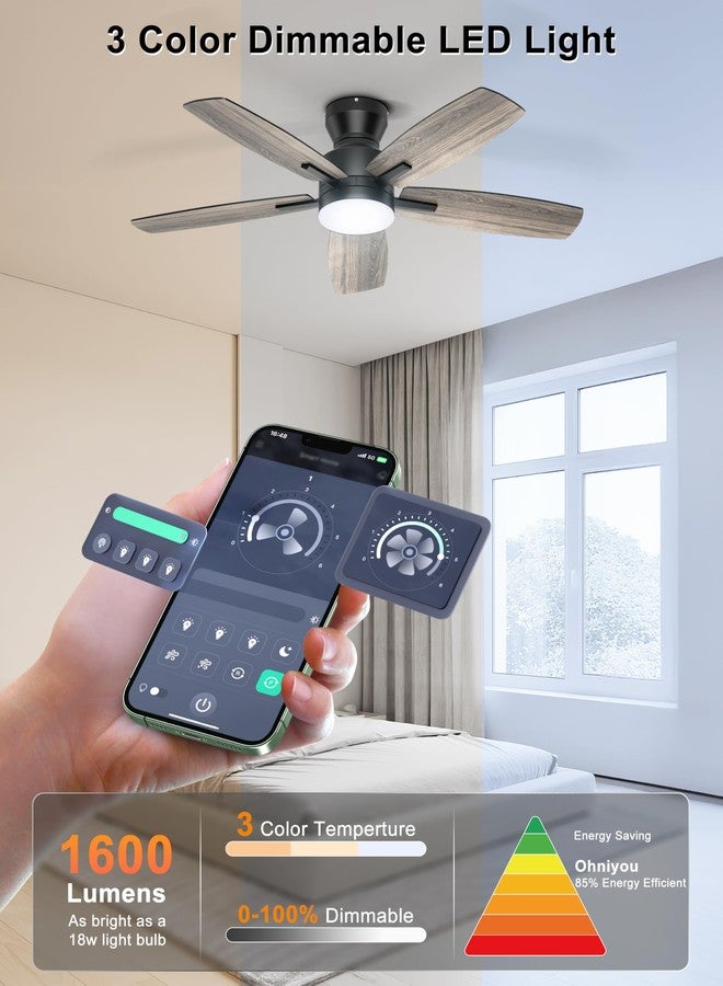 Ohniyou Ceiling Fans with Lights, 42'' Low Profile Ceiling Fan with Light and Remote/APP Control, Modern Flush Mount Ceiling Fan for Indoor Bedroom Kitchen, Dimmable, Qiuet DC Motor, Black - Image 4