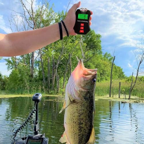 CCWEIGH 440lb/200kg Digital Crane Scale - Compact LCD Handheld Hanging Scale for Garage, Farm, Hunting, Fishing & More(200kg/Black) - Image 4