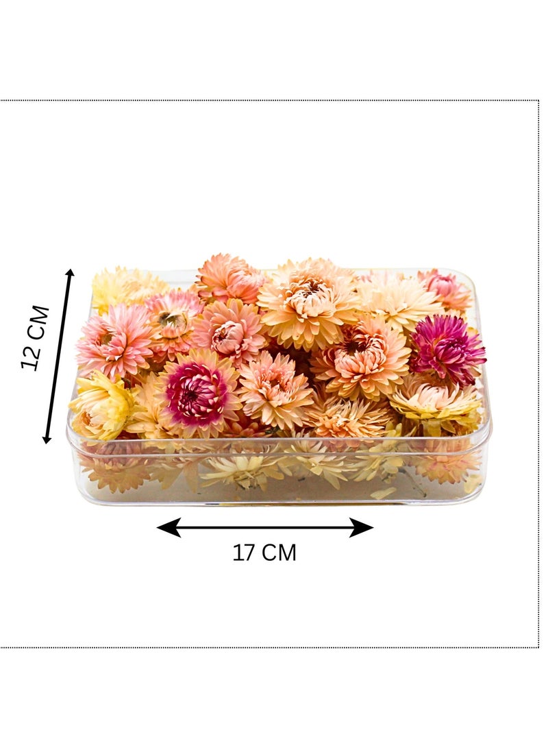 FANCY FLOWERS FANCY Natural Dried Helichrysum Flowers – Dry Floral Decor for Crafts, Weddings & Home Décor – Assorted Colors (White, Pink, Yellow) – Bulk Dried Flowers in Gift Box (PINK, SMALL) - Image 3