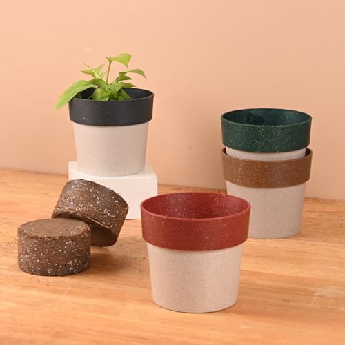 Eha Earth Friendly Ecopod 4 inch Small pots for Indoor Plants with 2 Growmix | Pack of 4 | Made with Bamboo Fibers |Table Top Planters for Home Decor and Office, Flower Pot for Living Room|Multicolor - Image 1