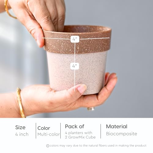 Eha Earth Friendly Ecopod 4 inch Small pots for Indoor Plants with 2 Growmix | Pack of 4 | Made with Bamboo Fibers |Table Top Planters for Home Decor and Office, Flower Pot for Living Room|Multicolor - Image 2