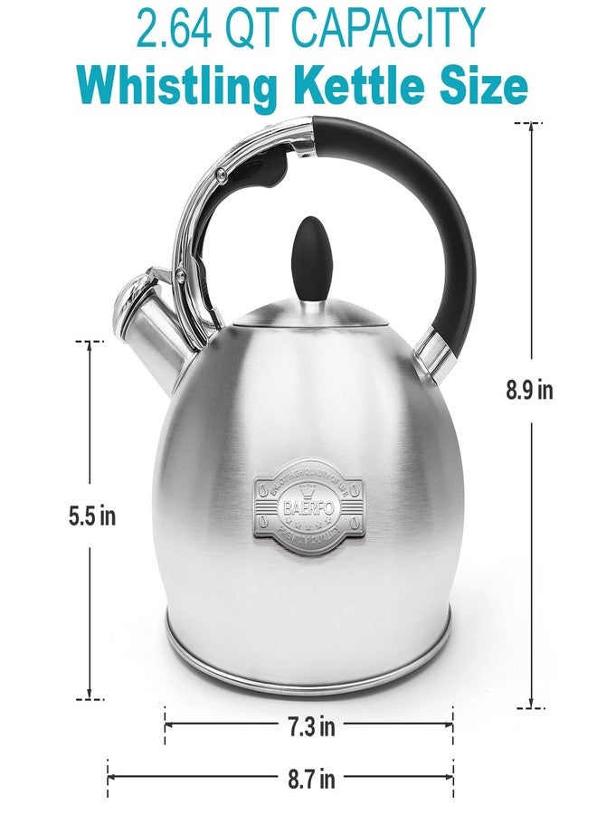 BAERFO Tea Kettle, 2.64 Qt Tea Pot Stovetop, Premium 304 Food-Grade Tea Kettle Stovetop, Resounding Sound, Vintage Aesthetics, with Pot Holder (Brushed) - Image 2