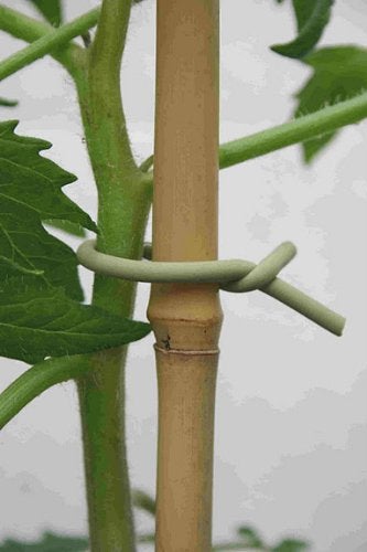 Tierra Garden 50-3010 Haxnicks Slim Soft Tie for Plants & Trees, 26.3', Green, 26.5 - Image 2