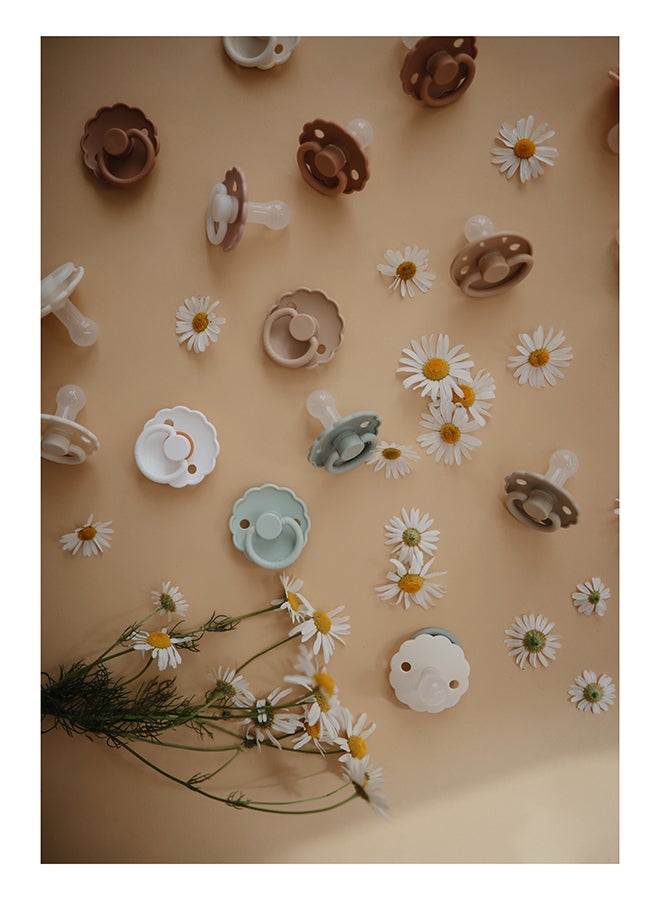 FRIGG Daisy Latex Baby Pacifier 6-18M 2-Pack Cream/Lupine - Size 2 - Image 4