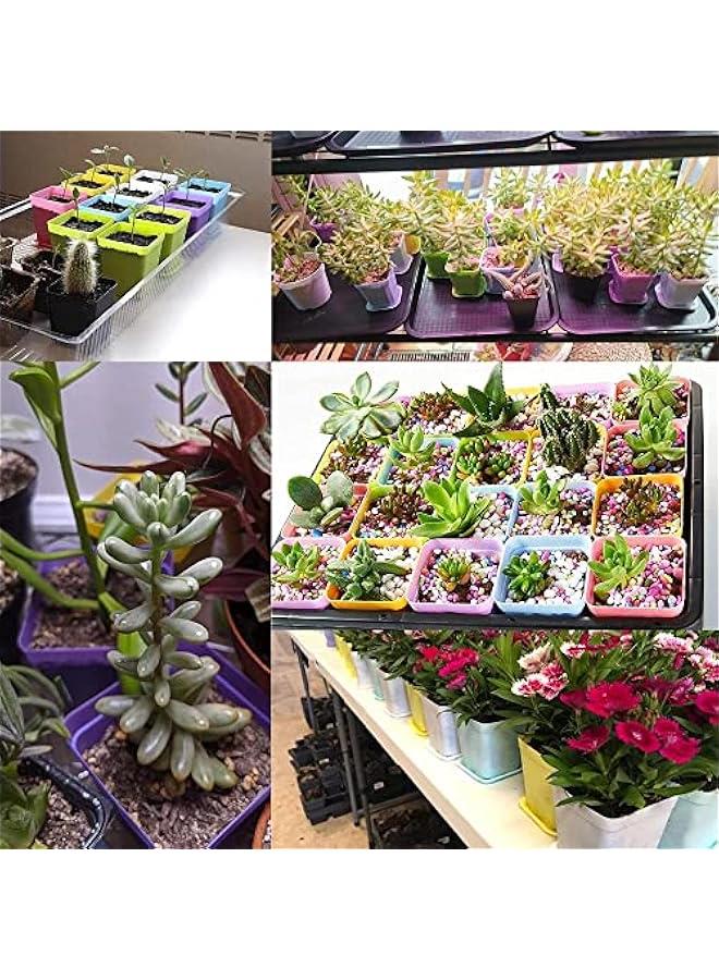 رينكس غوودر 30 قطعة م اوعية الاتات اللاستيكية الملوة، اوعية حضاة مرعة لاستيكية مع صحو، اوعية زور صغيرة للشتلات والزور العصارية لزراعة الاتات وديكور المزل والمكت والشرفة، ألوا متعددة - Image 3