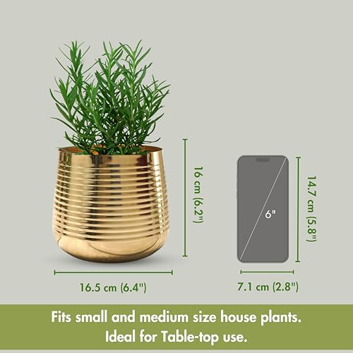 BEHOMA Metal Ribbed Design Planter for Home Decor | Decoratives for Indoor Outdoor Balcony Living Room | Table Decorative Plant Pot | Size Height- 6" x Dia. 6.5" inch | Golden (Plant not Included) - Image 5