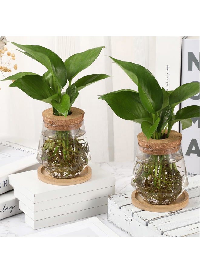 Baderke 12 Packs Propagation Vases for Plants Plastic Plant Propagation with Hole Lid and Bamboo Stand Growing in Water Hydroponic Home Office Desktop Vase Decoration (Cup Style) - Image 5