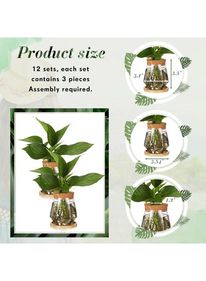 Baderke 12 Packs Propagation Vases for Plants Plastic Plant Propagation with Hole Lid and Bamboo Stand Growing in Water Hydroponic Home Office Desktop Vase Decoration (Cup Style) - Image 2