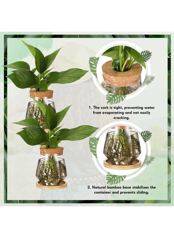 Baderke 12 Packs Propagation Vases for Plants Plastic Plant Propagation with Hole Lid and Bamboo Stand Growing in Water Hydroponic Home Office Desktop Vase Decoration (Cup Style) - Image 4