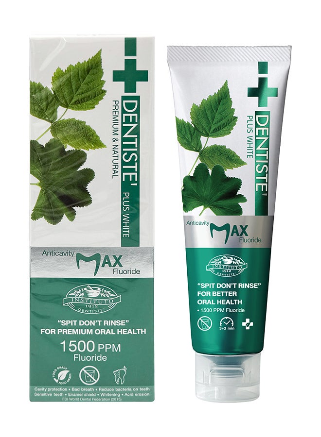 DENTISTE Anticavity Max Fluoride Plus White Toothpaste No Rinse Formula 100G - Image 1