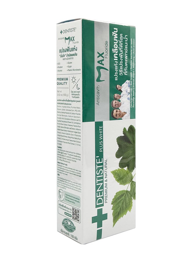 DENTISTE Anticavity Max Fluoride Plus White Toothpaste No Rinse Formula 100G - Image 4