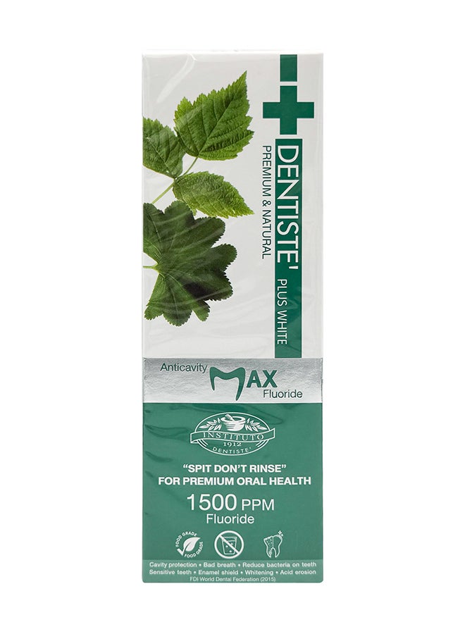 DENTISTE Anticavity Max Fluoride Plus White Toothpaste No Rinse Formula 100G - Image 3