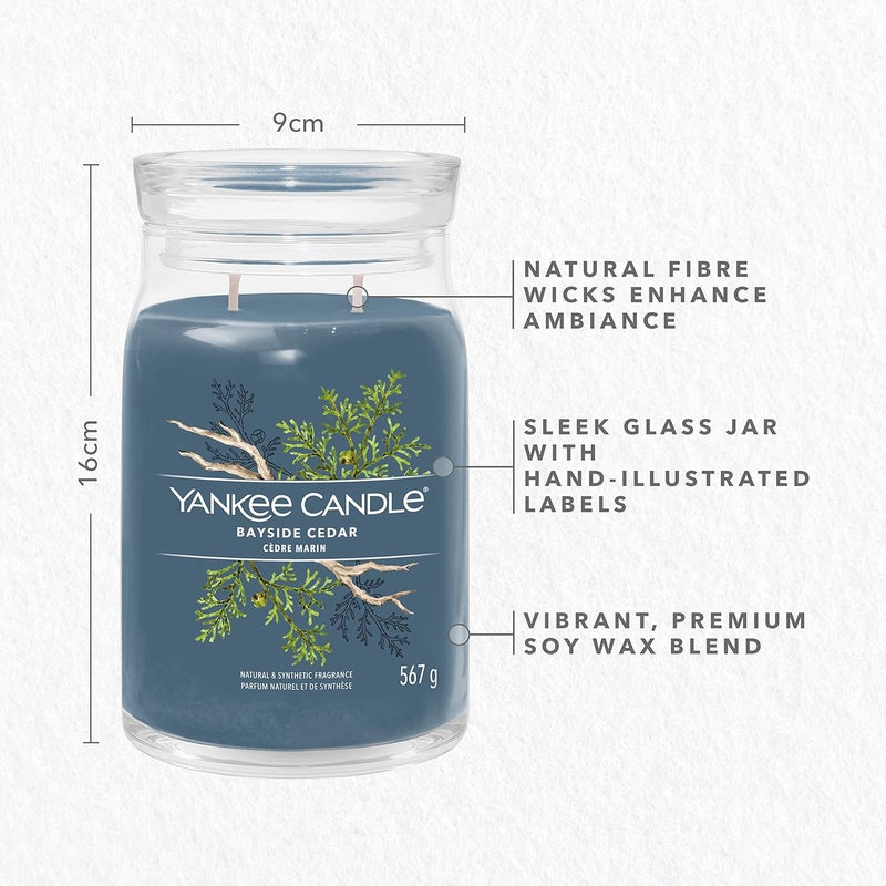 YANKEE CANDLE شمعة معطرة مميزة - 567 جرام | ل بايسايد سيدر - شمعة معطرة | شمعة مزدوجة الفتيل - Image 4