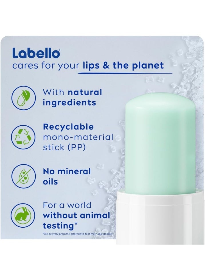 Labello Lip Scrub, Lip Caring Aloe Vera & Vitamin E, 4.8g - green - Image 5