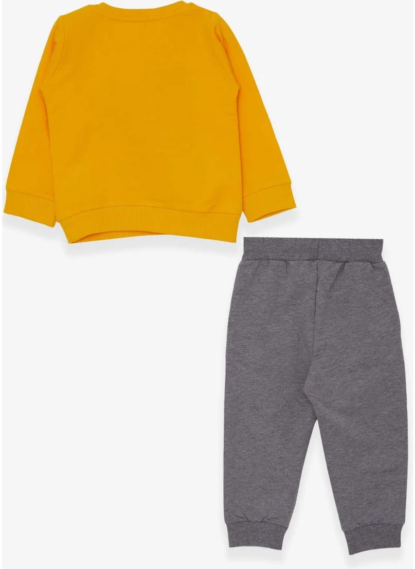 بريز Boys Tracksuit Set Colored Car Embroidered Mustard Yellow (1.5-5 Years)