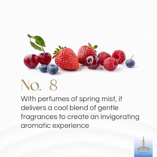 Gonesh - Classic Collection - Non-Toxic 10” Slow Burn Light Fruit & Floral Aromatic Sticks - No. 8-100 Pack - Image 2