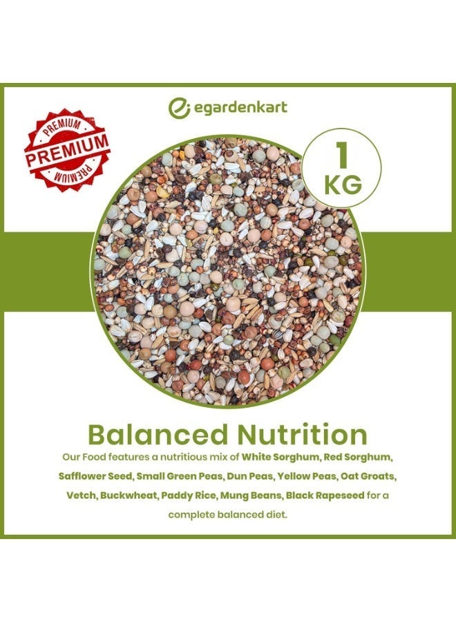 Egardenkart طعام الطيور البرية من إي غاردن كارت 1 كجم - مزيج بذور الطيور الاقتصادية لجميع أنواع الطيور البرية | طعام الطيور للحمام والزرزور واللقلق والبلبل والعصفور والهدهد | بذور الطيور في الهواء الطلق (1 كجم، بذور صغيرة) - Image 2
