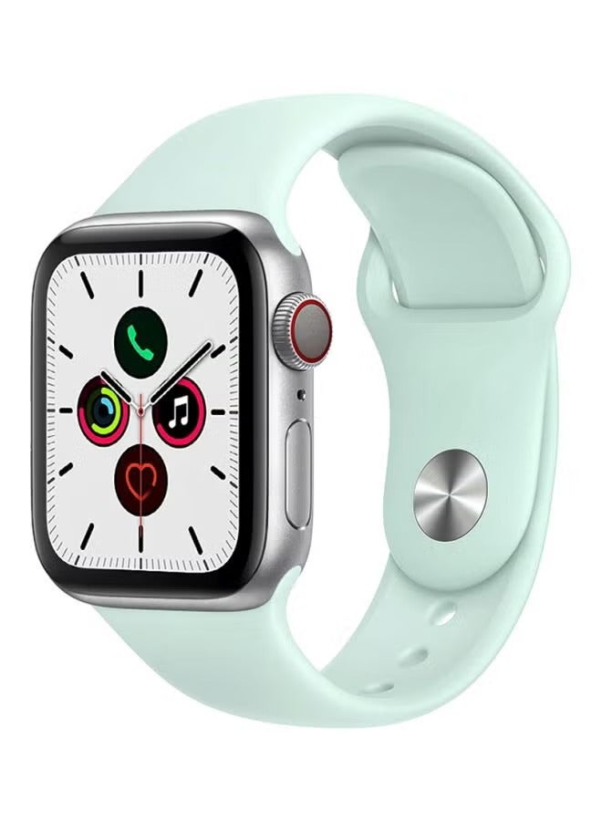 PROMASS Replacement Band For Apple Watch Series 5/4/3/2/1 44/42mm Seafoam Green - Image 1