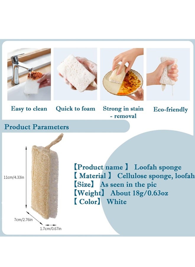 HOMESTAR 2 Pcs Natural Loofah Sponges for Dishes - Compostable and Cellulose Kitchen Loofah - Plastic Free Dish Sponges Kitchen with Cotton Hanging Loop - Image 3