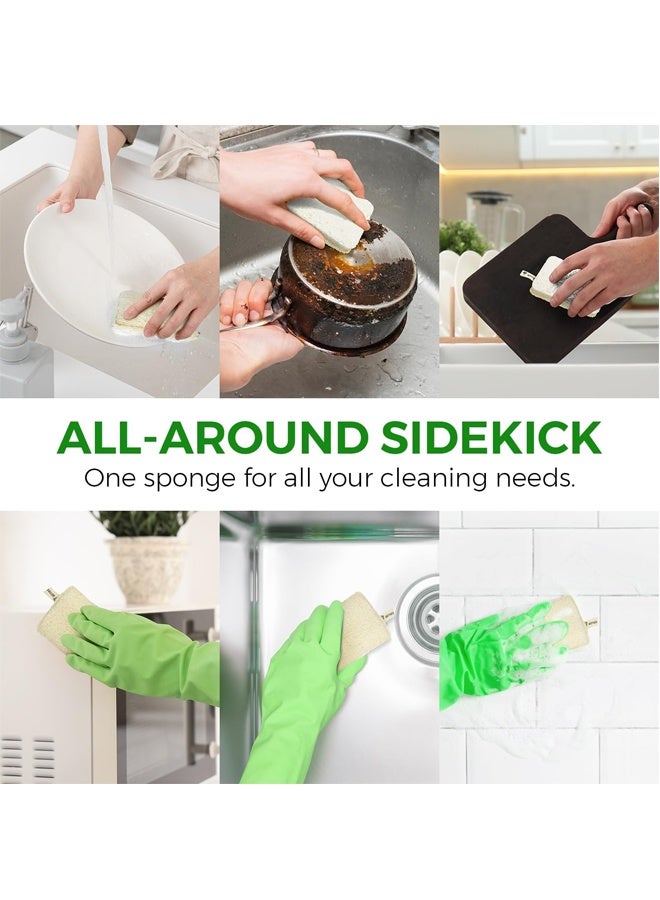 HOMESTAR 2 Pcs Natural Loofah Sponges for Dishes - Compostable and Cellulose Kitchen Loofah - Plastic Free Dish Sponges Kitchen with Cotton Hanging Loop - Image 2