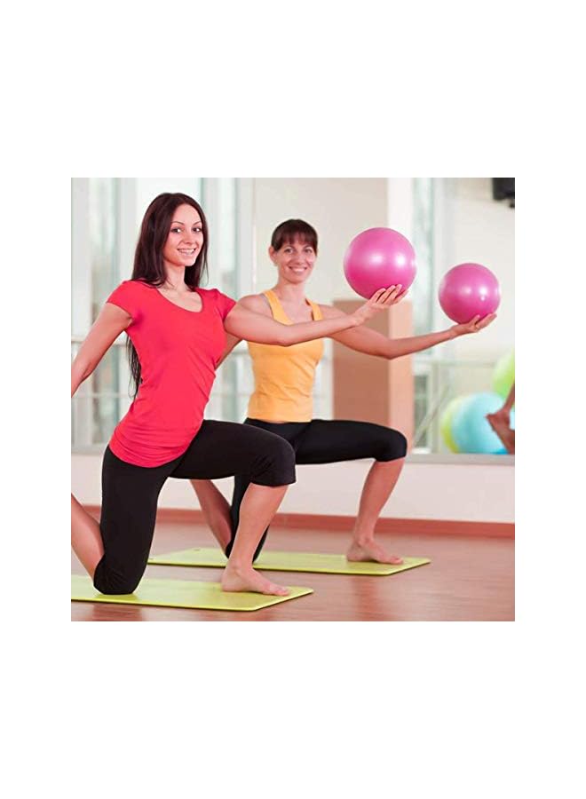 PROMASS 2 Pack Exercise Ball Yoga Ball With Air Pump Anti-Burst Slip-Resistant Yoga Balance Stability Swiss Ball For Pilates Fitness Exercise Training Core Strength 9 Inch / 23 Cm  - Image 4