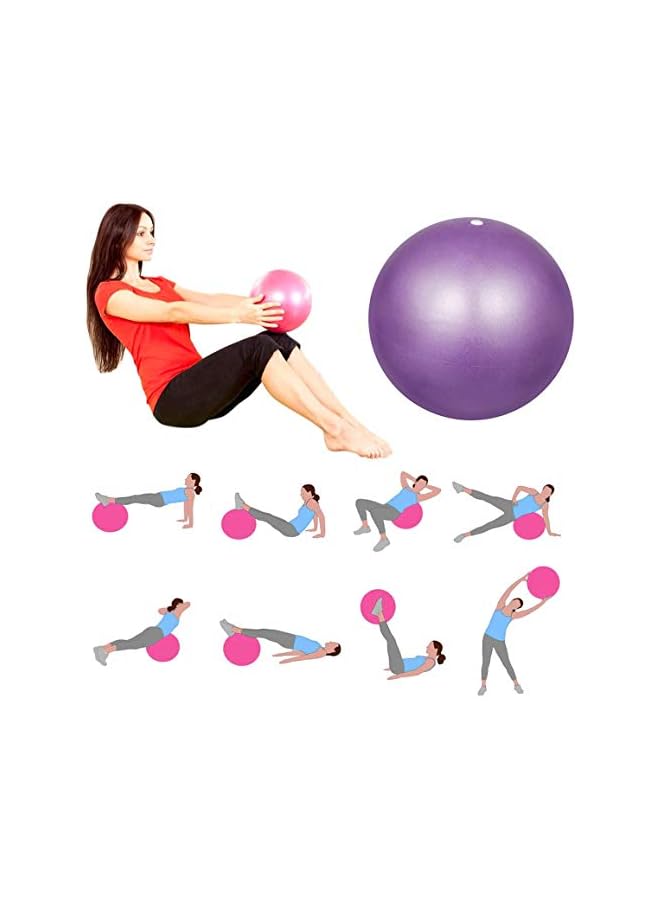 PROMASS 2 Pack Exercise Ball Yoga Ball With Air Pump Anti-Burst Slip-Resistant Yoga Balance Stability Swiss Ball For Pilates Fitness Exercise Training Core Strength 9 Inch / 23 Cm  - Image 5