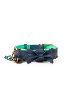 City Buster Dog Collar