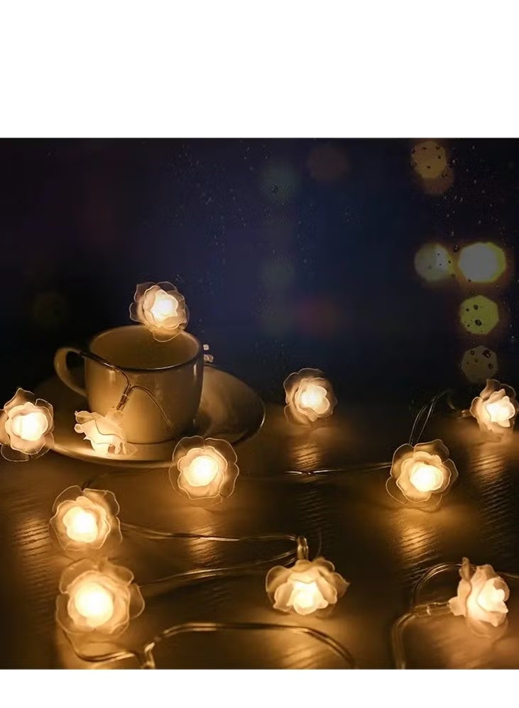 GIFT 3M 20 LED Rose Flower String Lights, Warm White Battery Operated (2xAA), Constant On Mode, Romantic Fairy Lights for Bedroom, Wedding, Party, Indoor Home Decor - Image 1
