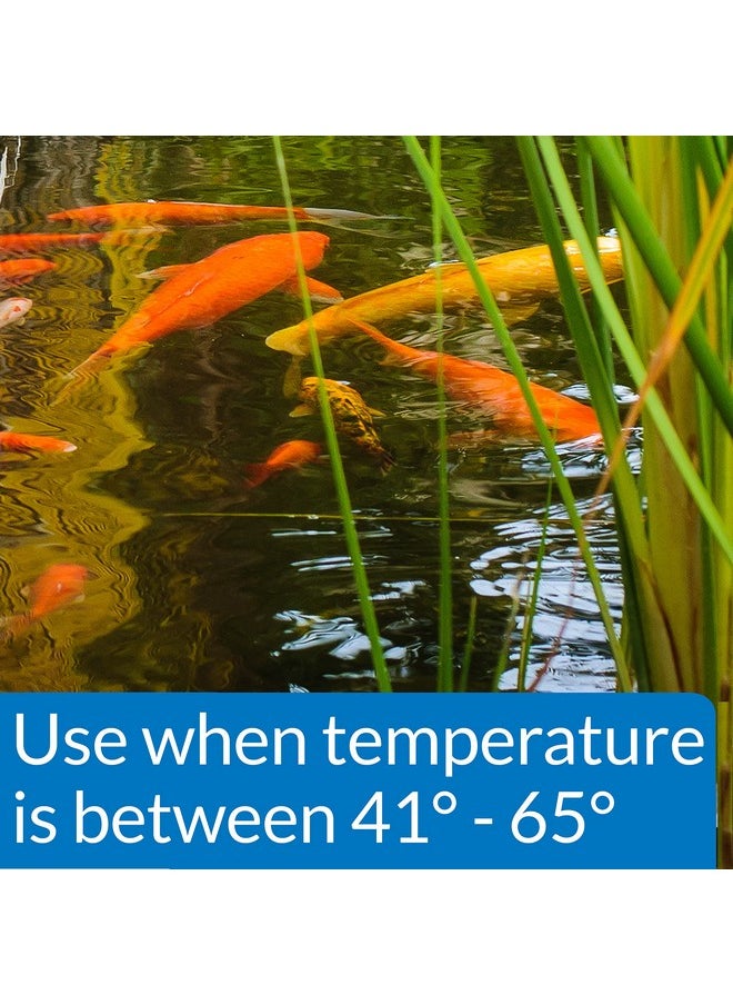 ايه بي آي طعام أسماك البرك API POND COOL WATER - كيس 1.40 رطل  - Image 3