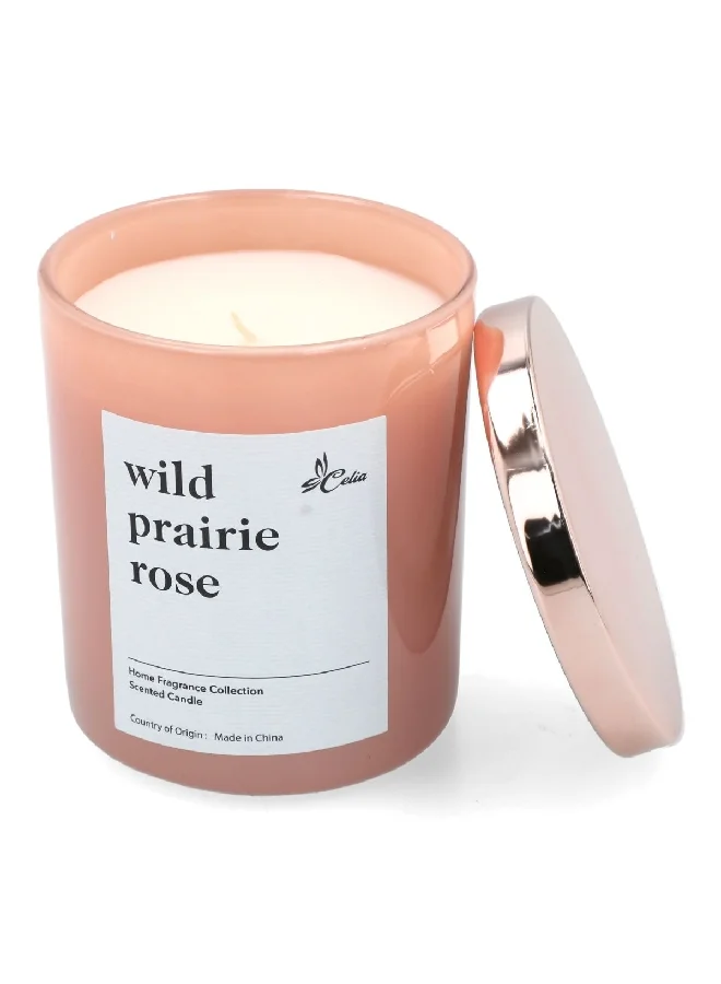 Celia Wild Prairie Rose Glass Jar Candle 14 oz